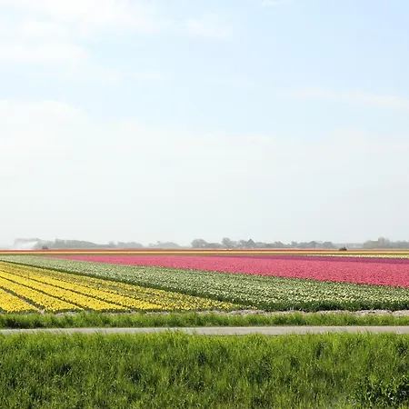 Cozy Holiday Home In Callantsoog On A Dutch Coast